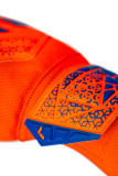 Reusch Attrakt Starter Solid 5570514 2290 blue orange 4